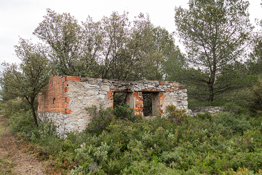 Abri-soute en pierre et brique creuse, à l'arrière des cuves, avec local bas adossé