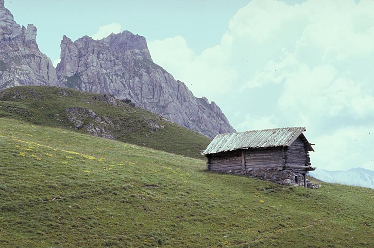 Ferme (chalet d'estive)