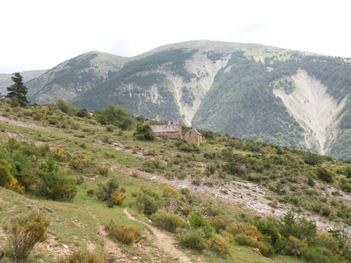 entrepôt agricole