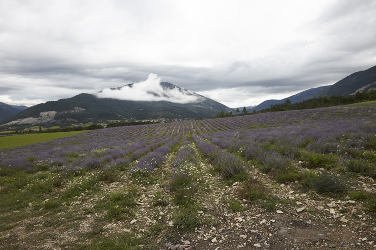 Pays Asses, Verdon, Vaïre, Var