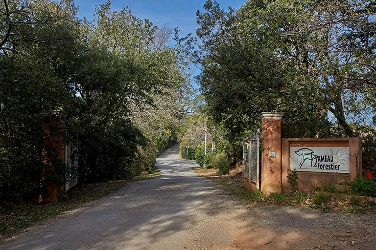 Hameau de forestage de Harkis de Gonfaron