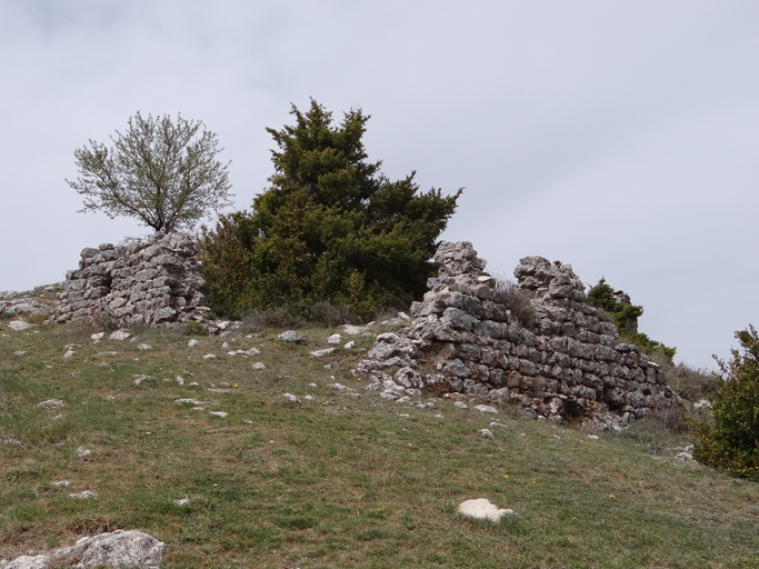 Château du haut. Vue d'ensemble prise de l'est.