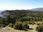 ensemble agricole : cabanes de Barbin