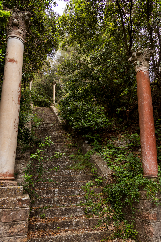 jardin d'agrément de la Villa Fiesole, puis Villa Domergue