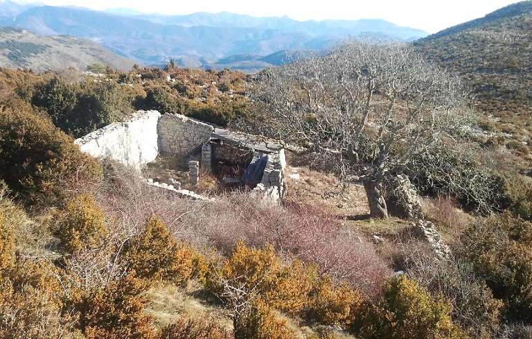 Bergerie et enclos pastoral du Bouisset (2023 B 160). Vue de situation prise de l'ouest. 