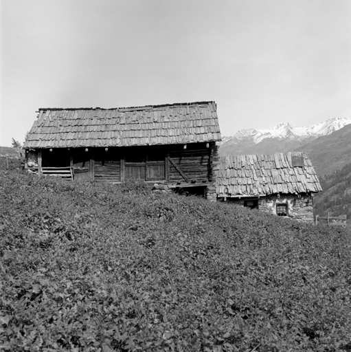 Ferme. Vue d'ensemble. Façades prises du sud.