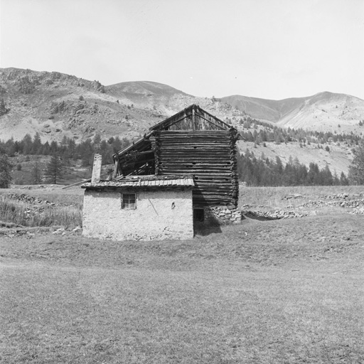 ferme (chalet d'estive)