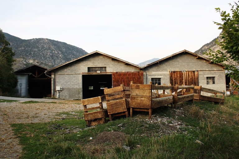Ferme