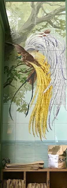 boutique de céramique décorative, actuellement herboristerie dénommée La maison des plantes