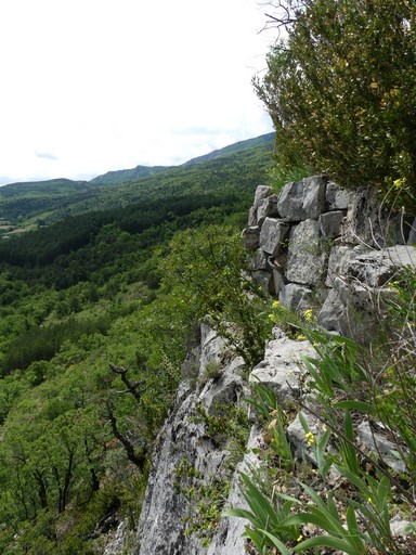 Extrémité nord de la falaise des Daumas, plate-forme inférieure confortée par un mur de soutènement en pierre sèche.