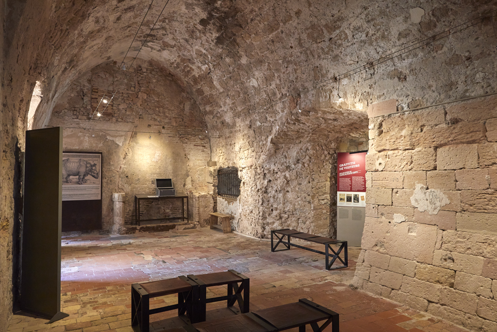 Donjon, grande casemate d'étage du corps central, côté est, cheminée, ouverture sur loge murale, niche remaniée