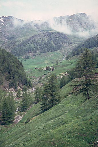 présentation de la commune d'Aiguilles