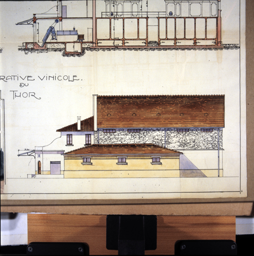 coopérative vinicole