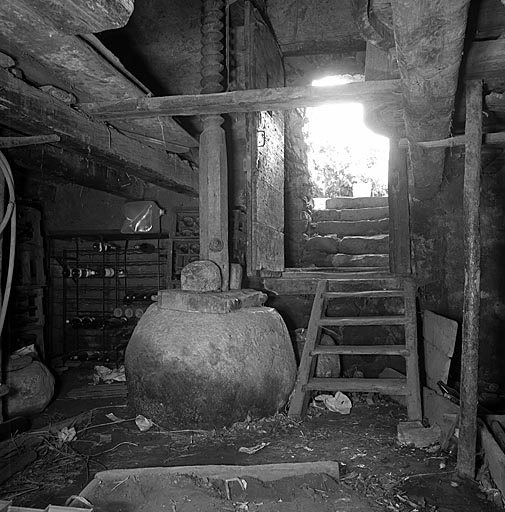 La cave à vin. Vue intérieure prise du fond de la cave vers la porte d'entrée.