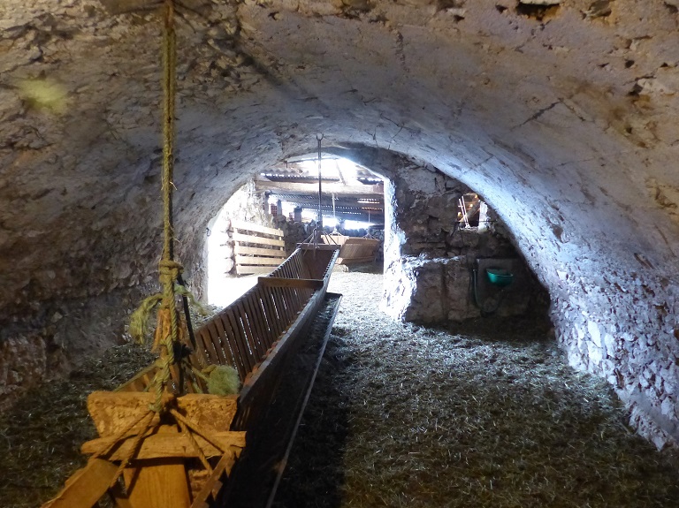 Ferme n° 2 au quartier de Nougueiret (1841 E4 353-357). Bergerie couverte d'une voûte coffrée segmentaire. 