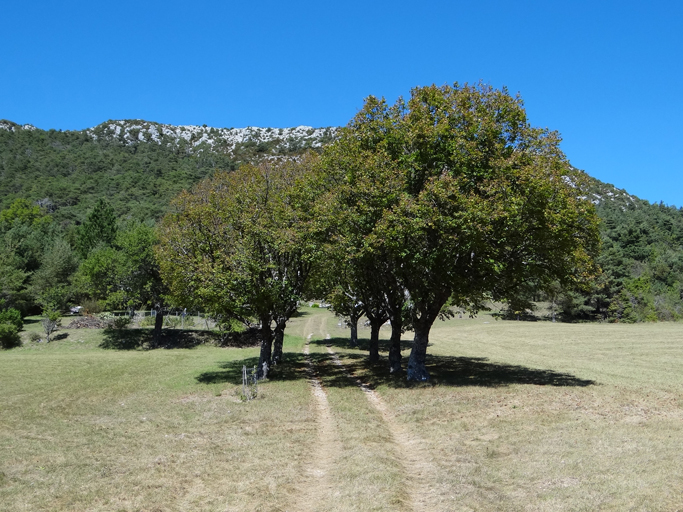 présentation de la commune de La Palud-sur-Verdon