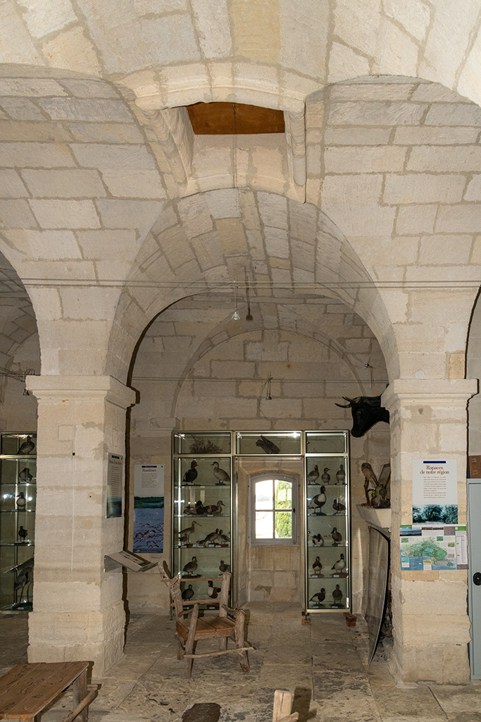 Tour Saint-Louis, intérieur, niveau 2, voûte d'arêtes sur piliers, travée centrale avec ouverture zénithale dans la voûte
