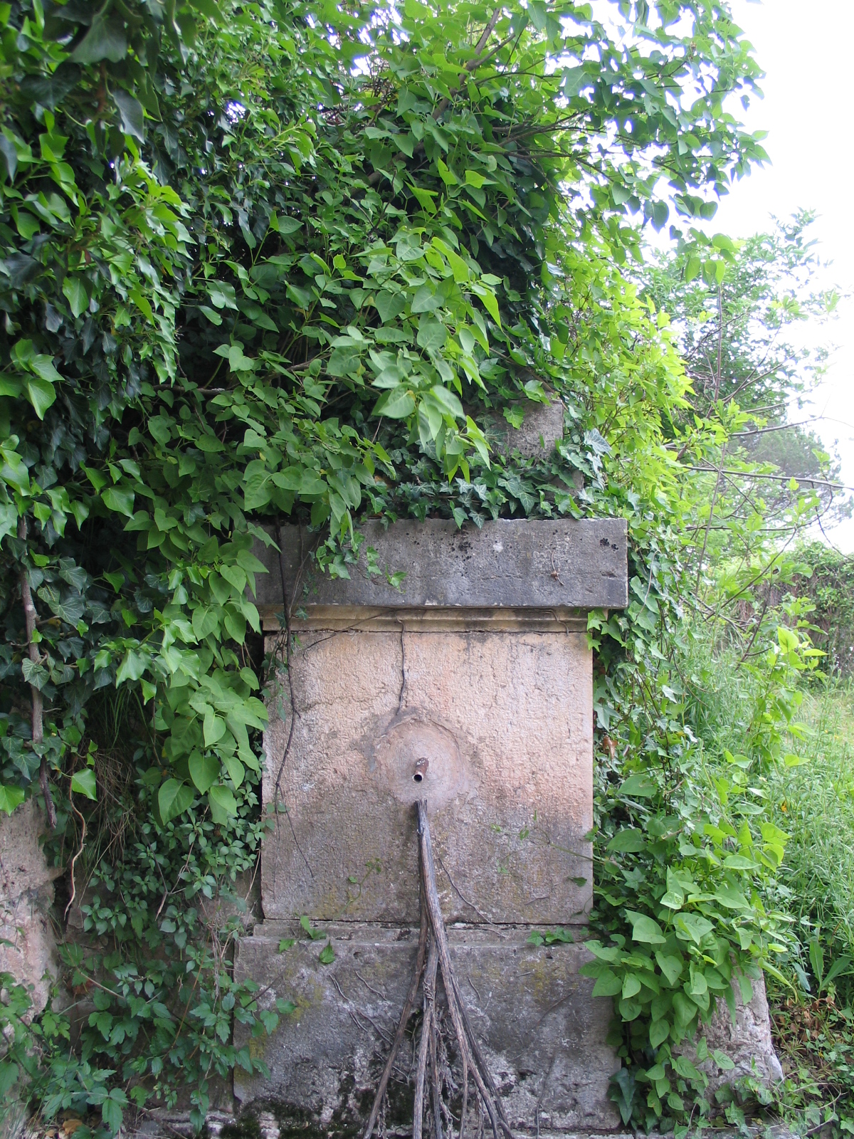 fontaine et abreuvoir dite fontaine de la ferme Rebory