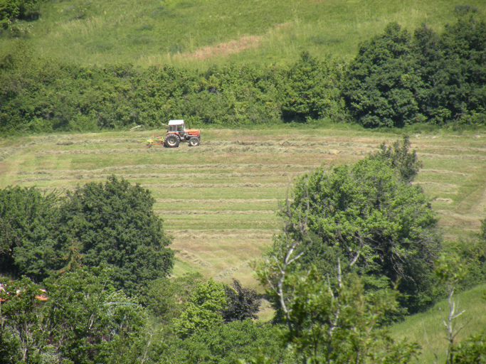 Pré de fauche (vallée de l'Iscle).