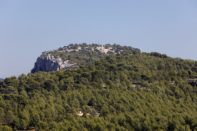 ensemble du site de l'ouvrage du Gros Cerveau, vu depuis l'ouvrage de la Pointe Ouest