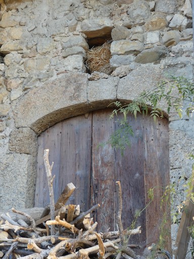 Porte de resserre avec encadrement en pierre de taille de brèche calcaire, en arc segmentaire, surmonté d'un jour. Bâtiment au village d'Antonaves.