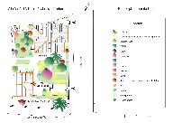 Villa René, Menton (06), plan de plantation du jardin.