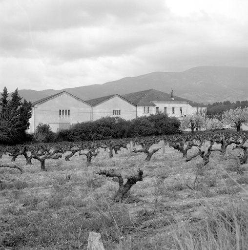 coopérative vinicole Les Vignerons du Ventoux