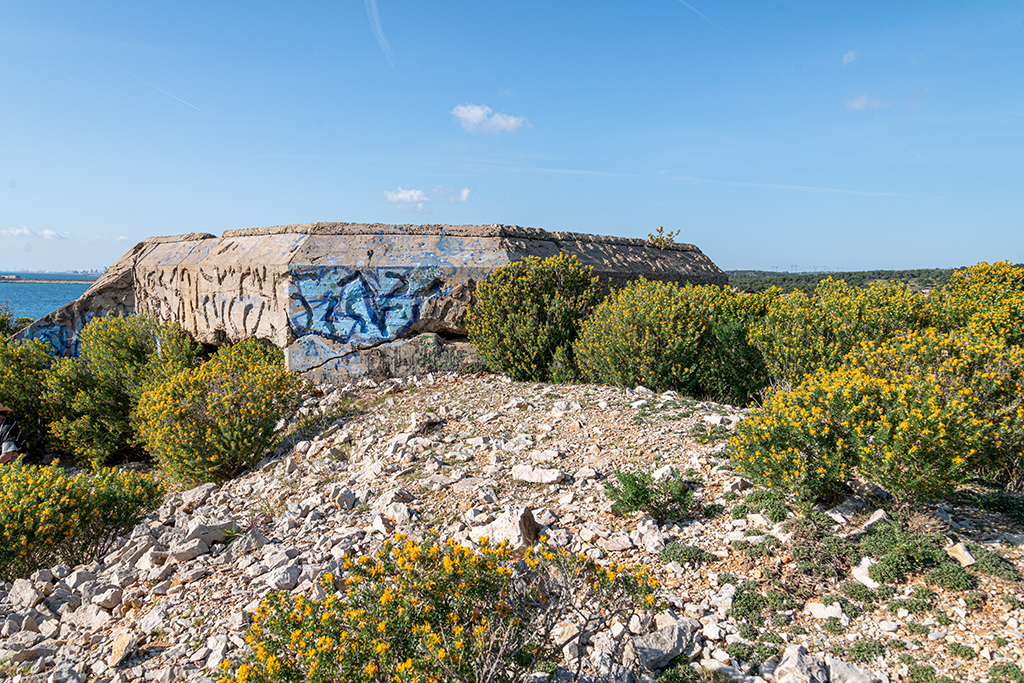 Position défensive des Laurons, casemate de flanquement H 612 modifiée (SK) à double embrasure.