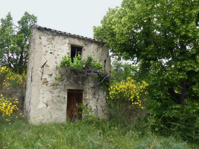 Vue d'ensemble prise du sud.