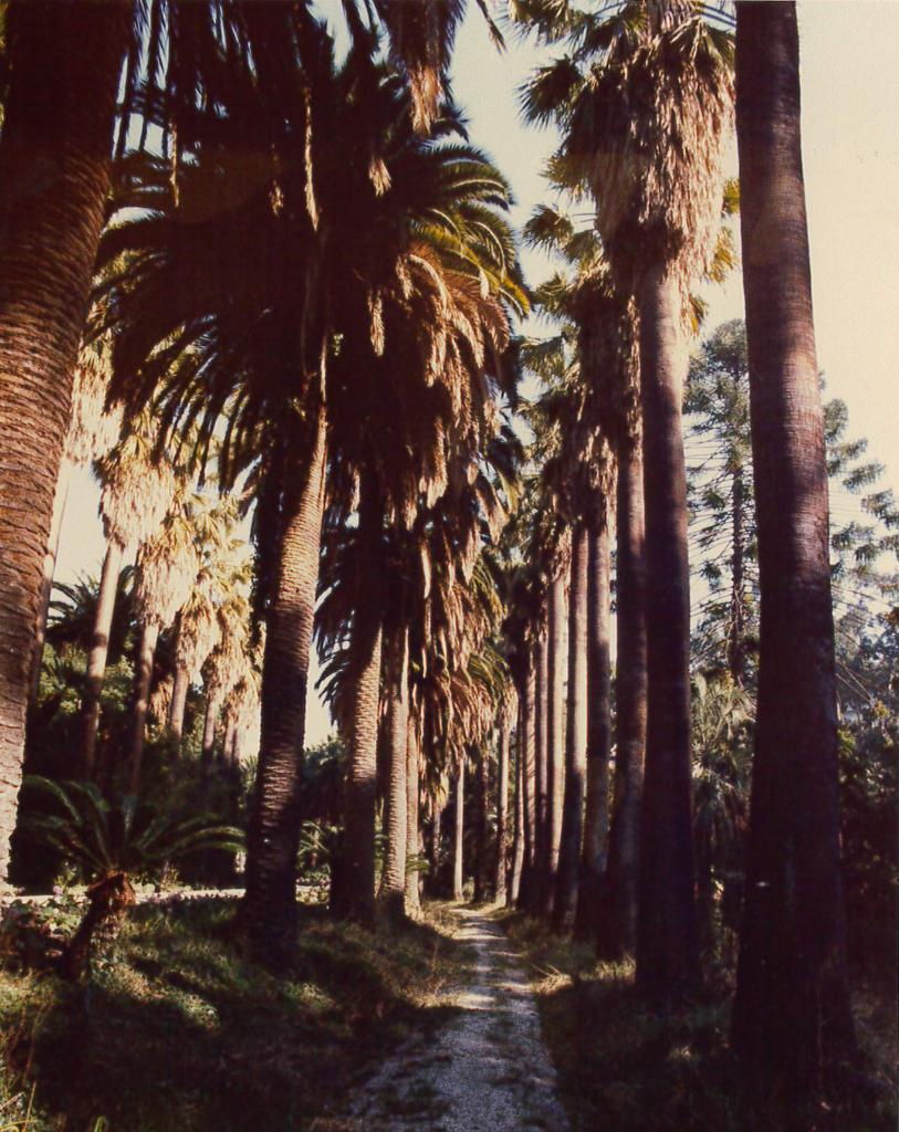 jardin d'agrément de la villa L'Africaine, actuellement parc de l'Indochine et jardin des Résidences Château Sainte-Anne