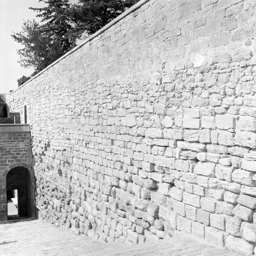 Partie est, vue d'ensemble du mur prise d'est en ouest.