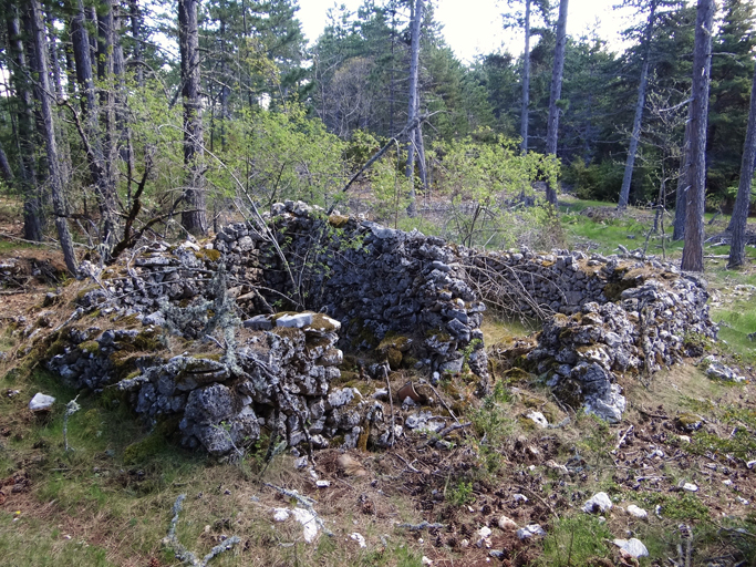 Cabane rectangulaire à deux travées, le mur central servant sans doute de faîtière pour le toit à longs pans (cabane C).