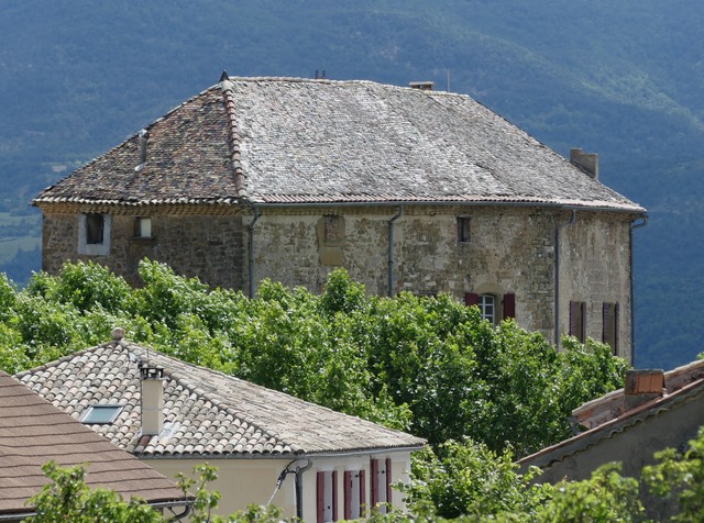 Bâtiment principal. Toit, vue d'ensemble prise du nord-est.