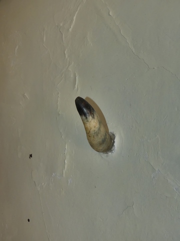 Etage de soubassement, vestibule. Mur sud, corne de bovin scellée dans le mur.