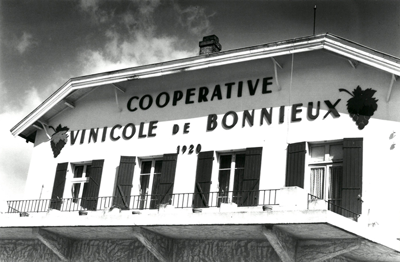 coopérative vinicole