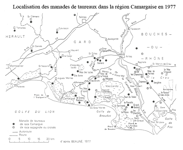 présentation de l'étude sur l'architecture des arènes de Provence-Alpes-Côte d'Azur