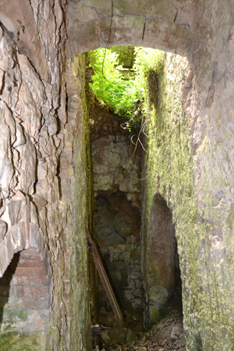 scierie, moulin à ressence et à huile