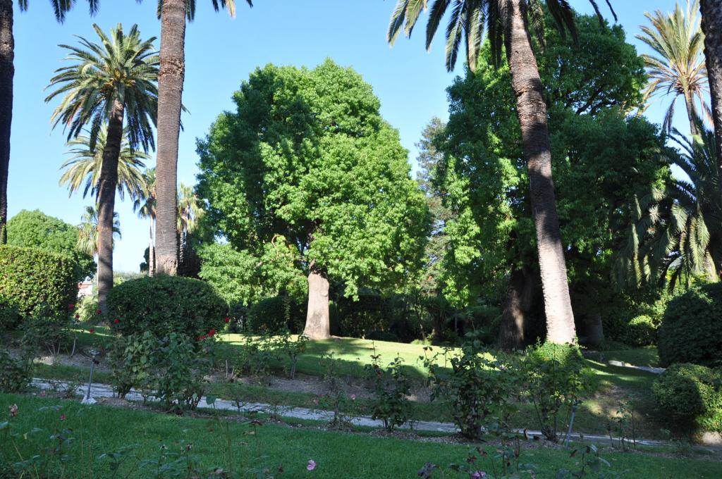 jardin d'agrément de l'Hôtel de voyageurs dit Hermitage, actuellement immeuble dit Palais l'Hermitage