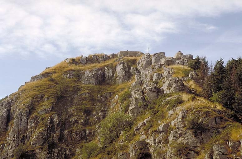 Vue générale du site prise du nord-est.