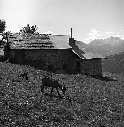 ferme (chalet d'estive)