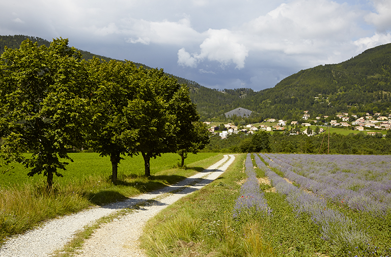 parfumeries (distilleries de lavande) du Pays Asses, Verdon, Vaïre, Var