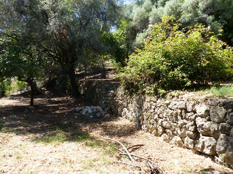 Vue d'ensemble du jardin prise de l'est depuis la maison.