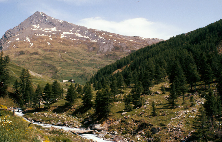 présentation de la commune de Saint-Martin-de-Queyrières