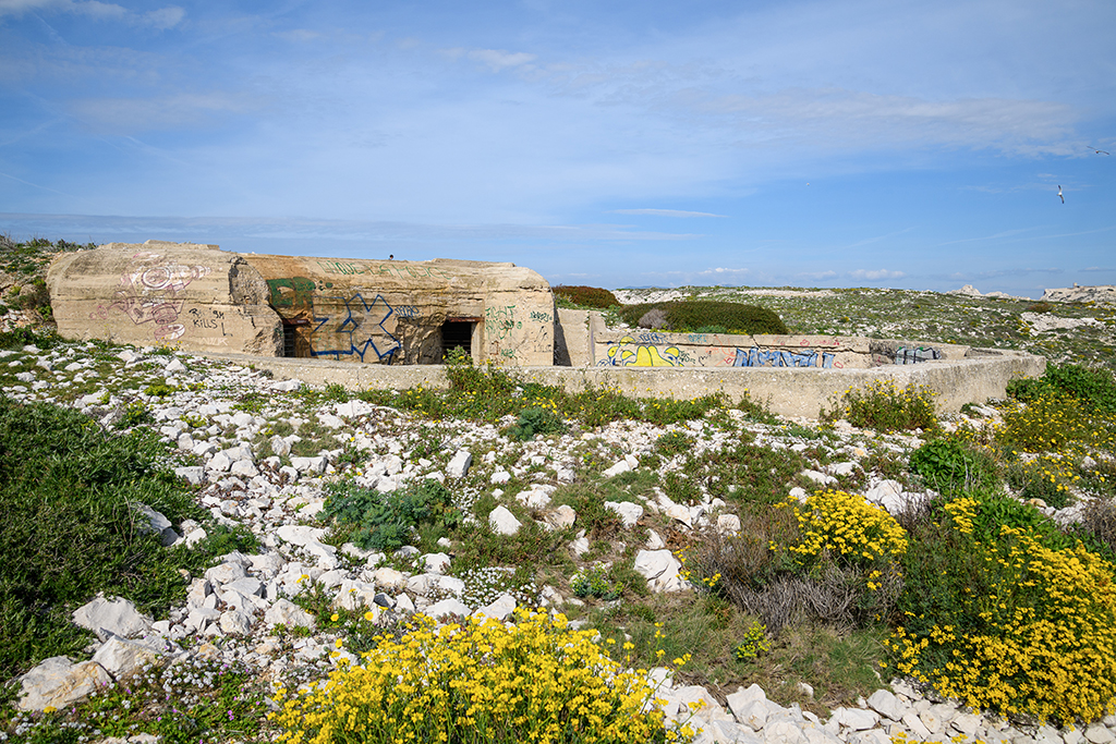 Batterie sudwall, 3eme cuve à casemate abri Regelbau M 158, vue d'ensemble prise à droite et en avant de la cuve
