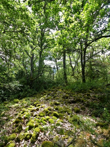 Le plateau de Saint-Jaume. Partie sud, grand pierrier (ruines de la chapelle ?).