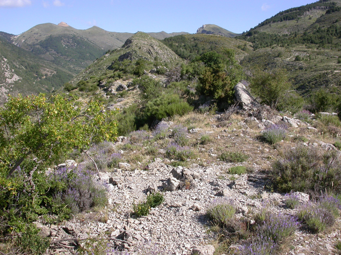 bourg castral de Tartonne