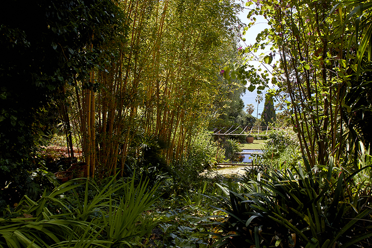 Jardin sauvage : l'escalier d'eau et la Méditerranée (vue plongeante).