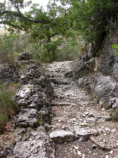 bourg castral de Peyroules