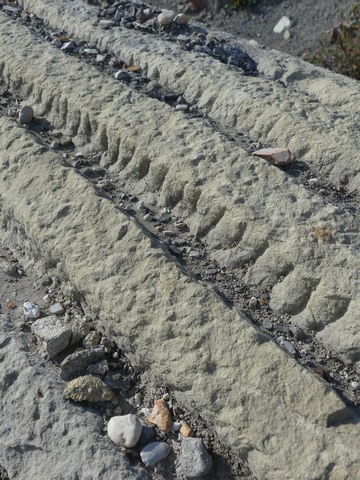 Détail des cannelures.