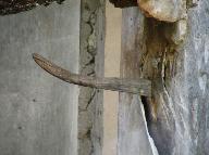 Crochet en bois scellé dans le mur pour servir de patère, dans la pièce de logis d'une maison à Rougon.